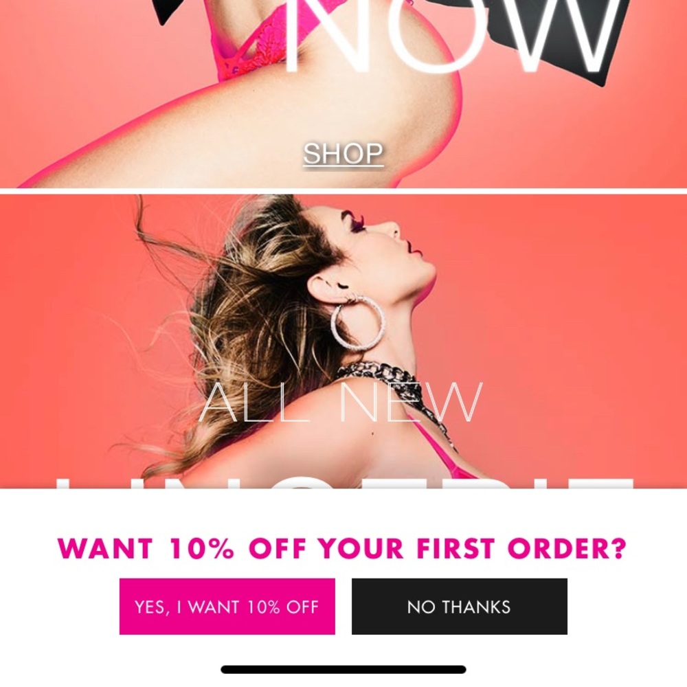 LINGERIE DROPSHIPPING WEBSITE FOR SALE!